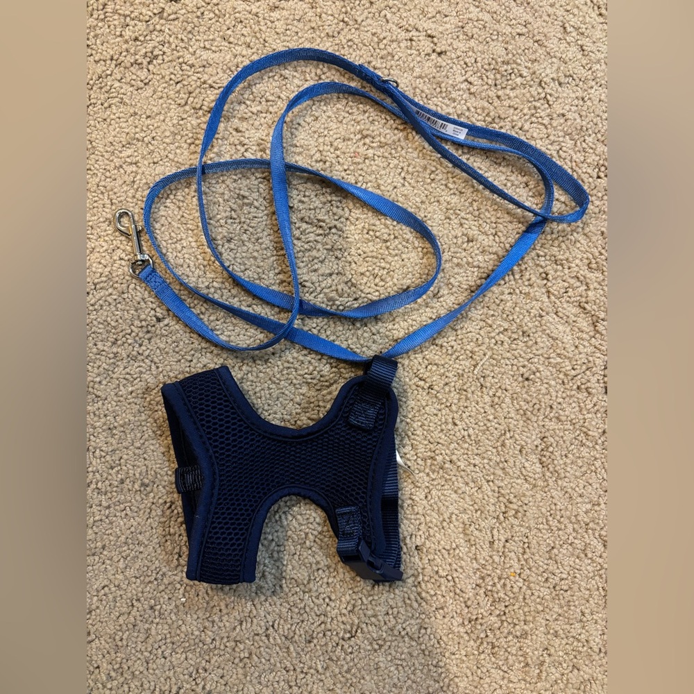 Pet Harness XXS with Leash